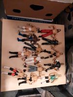 WWE Figuren Sammlung Bayern - Neustadt b.Coburg Vorschau