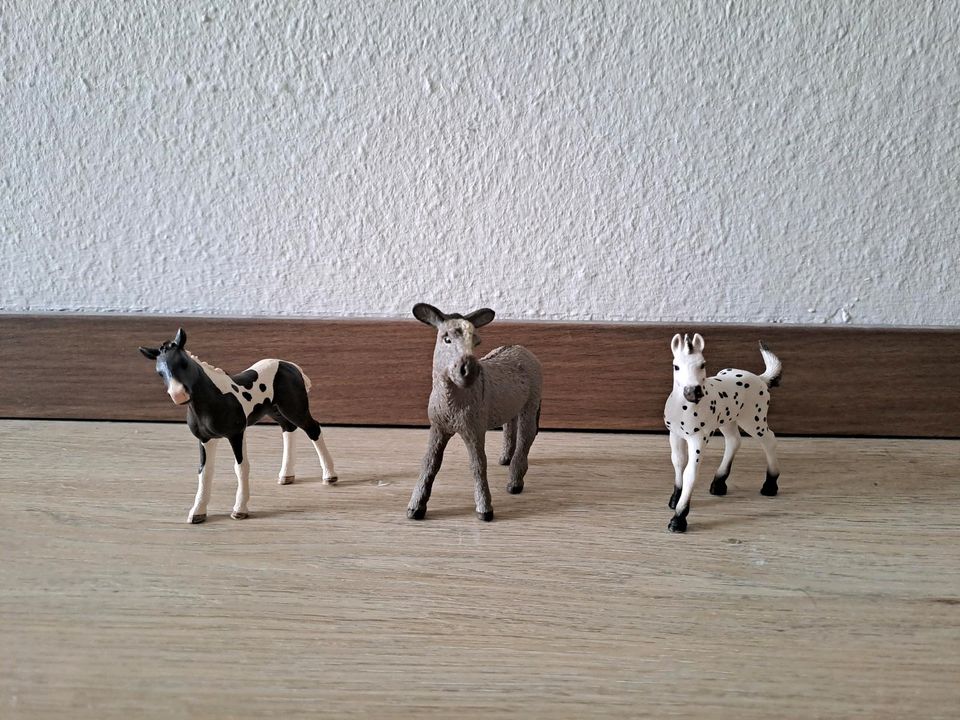 Schleich Pferde, Tiere, Menschen, Futter, Zubehör in Lunden