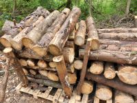 Brennholz Fichte Käfer Holz Rheinland-Pfalz - Mittelbrunn Vorschau