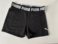 Puma Funktionsshorts Bayern - Erlangen Vorschau