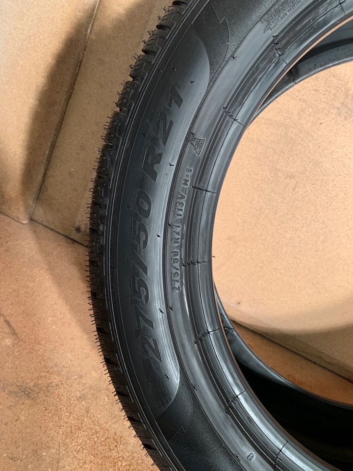 Pirelli Scorpion 275/50R21 113V Winterreifen 21 Zoll Neuwertig 1x in Essen