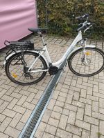 E-Bike Damen Baden-Württemberg - Pforzheim Vorschau