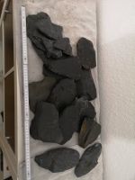 Schwarze Schieferplatten aus Aquarium Rheinland-Pfalz - Oberelbert Vorschau