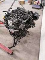 MOTOR DFH 2.0 TDI KOMPLETT Nordrhein-Westfalen - Ratingen Vorschau