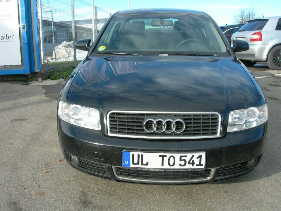 Audi-A4 (2002)  an Sammler !!! in Ehingen (Donau)