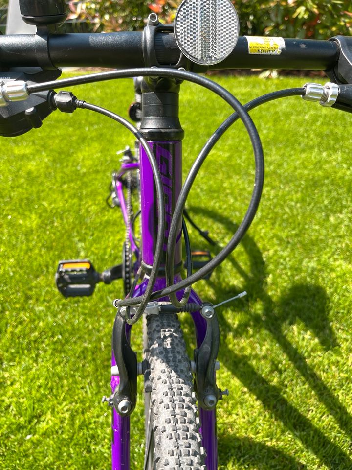 Giant ARX 24 Zoll Kinderrad purple, sehr leicht, 9,1 kg in Mülheim (Ruhr)