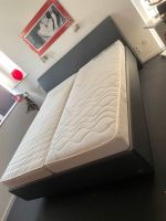 Doppelbett Ehebett  Bett Leder RUF Betten Nordrhein-Westfalen - Mönchengladbach Vorschau