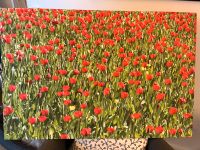 Bild Tulpen auf Leinwand 105x70cm Schleswig-Holstein - Bosau Vorschau