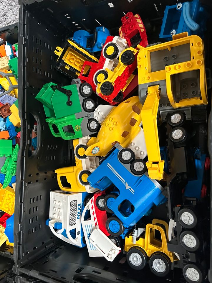 Lego Duplo xxl über 14 kg Fahrzeuge, Tiere, Figuren, Supermarkt in Essen