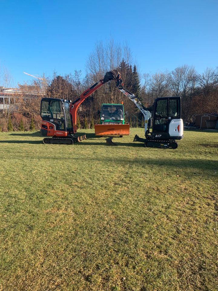 Zum Vermieten Minibagger Bagger Kubota KX019-4 in Radeberg