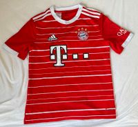 FC Bayern Trikot Niedersachsen - Walsrode Vorschau