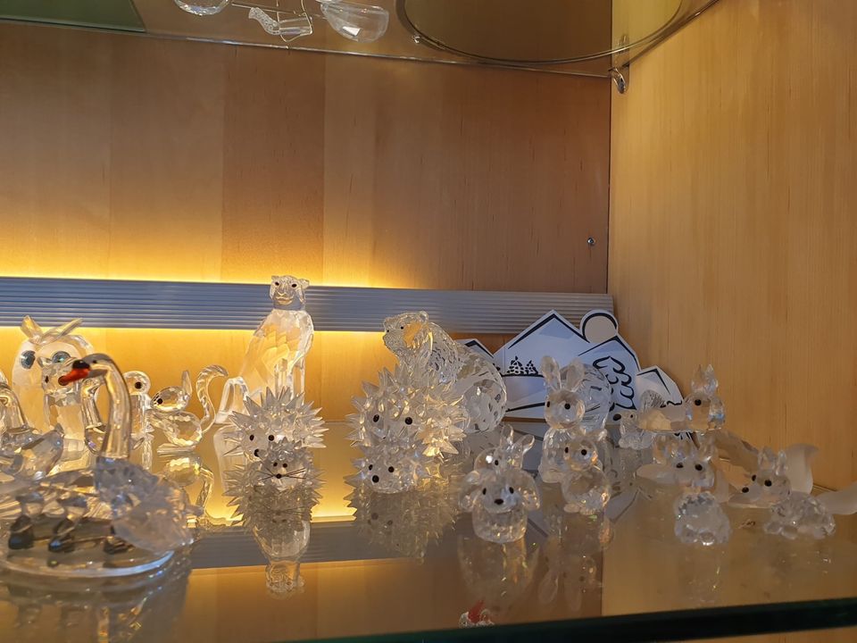 Swarovski Sammlung in Oberdischingen