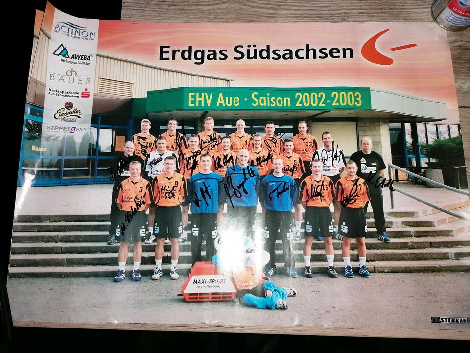 EHV Aue Handball Saison 2002/2003 Mannschaftsposter Autogramme in Schneeberg