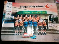 EHV Aue Handball Saison 2002/2003 Mannschaftsposter Autogramme Sachsen - Schneeberg Vorschau