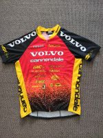 Cannondale Volvo Trikot Größe L Friedrichshain-Kreuzberg - Kreuzberg Vorschau