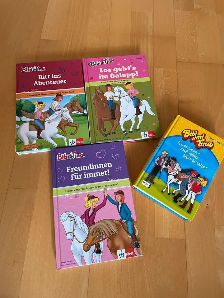 Bibi und Tina Bücher in Walsdorf