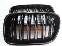 BMW X3 F25 X4 F26 10-14 GRILL NIEREN DOPPELLEISTEN SCHWARZ GLANZ Nordrhein-Westfalen - Herten Vorschau