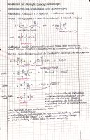 Chemie Lernzettel Alkanole Q1 15 Punkte Abitur Hessen LK Hessen - Friedrichsdorf Vorschau