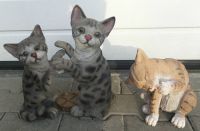 Grosse - Katzen - Figuren - Gartenfigur - 2 Stück - Dekofiguren Düsseldorf - Pempelfort Vorschau