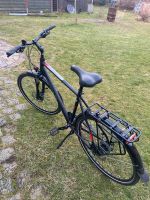 Herrenrad 28“ Rahmenhöhe 56,ca 50 km gefahren Brandenburg - Werben (Spreewald) Vorschau