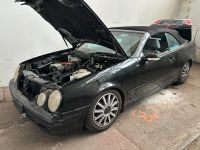 Mercedes W208 Cabrio Kompressor Teile Schlachtfest Lorinser Berlin - Hohenschönhausen Vorschau