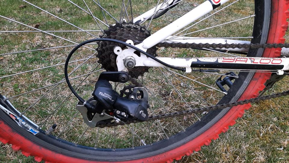 Mountainbike    [  für kleines Geld  ] in Schönberg