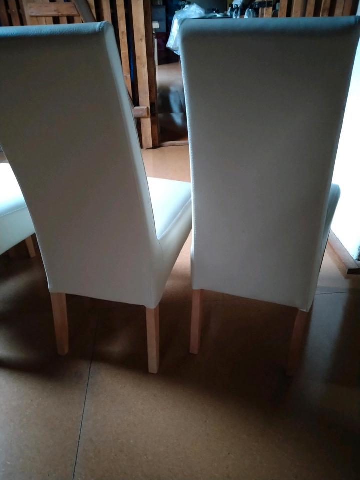 Esszimmerstuhl/ Polsterstuhl *Kunstleder creme *4er SET *wie neu in Lichtenstein