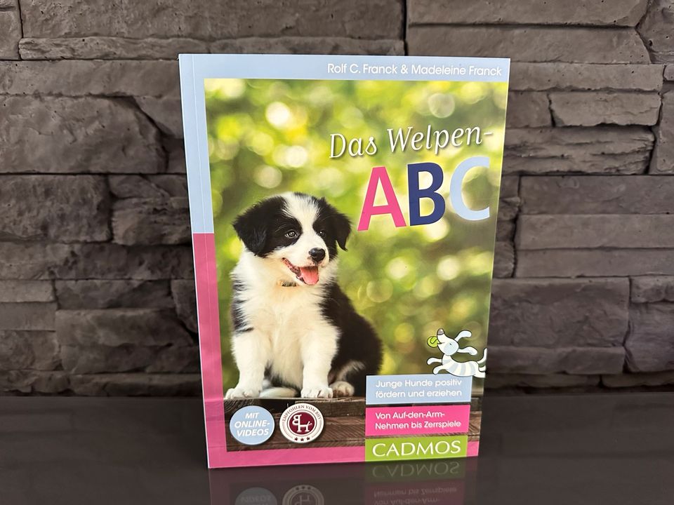 Hundewelpen / Buch das Welpen ABC in Großaitingen