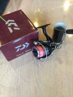 Ninja Daiwa 2000A Nordrhein-Westfalen - Delbrück Vorschau