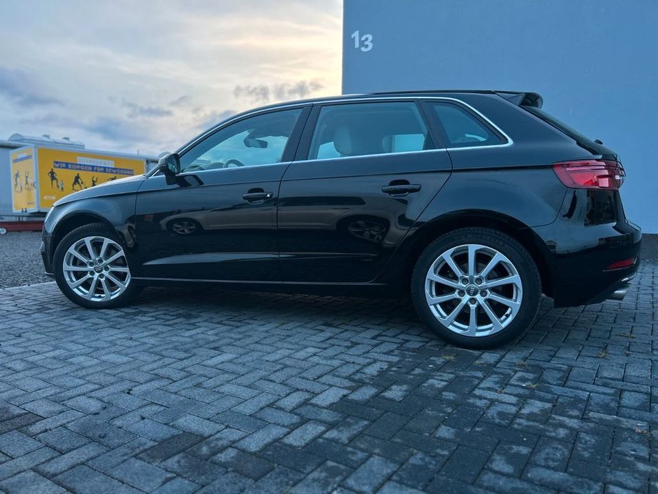 Audi A3 Sportback 40 TDI Quattro Design Stdhzg. in Kassel