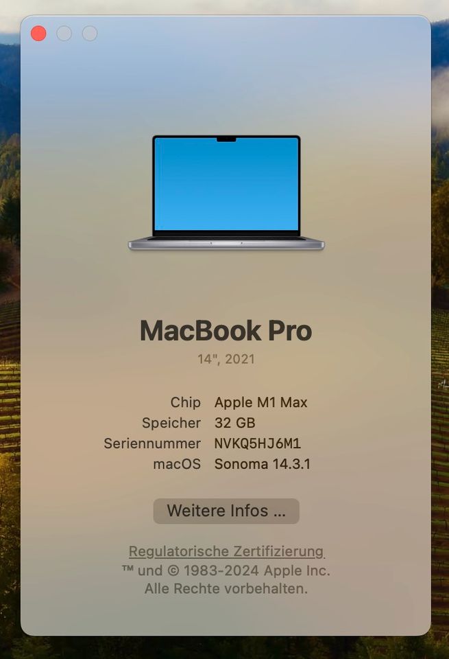 Macbook Pro 14.2" M1 Max 32gb Ram 500gb HDD in Efringen-Kirchen