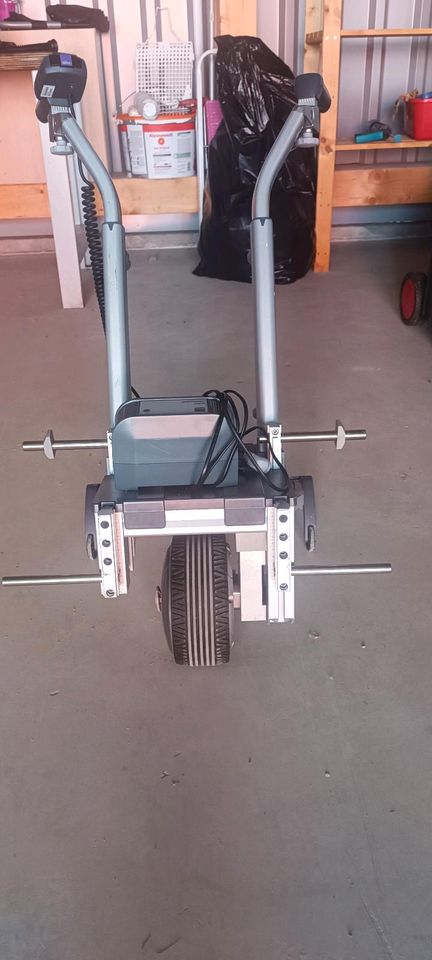 Alber Viamobil schiebe und bremshilfe für Rollstuhl in Stadtallendorf