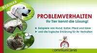 Hund, Katze, Pferd - Problemverhalten ? Ihr Tier kennt die Lösung Bayern - Rieden a. Forggensee Vorschau