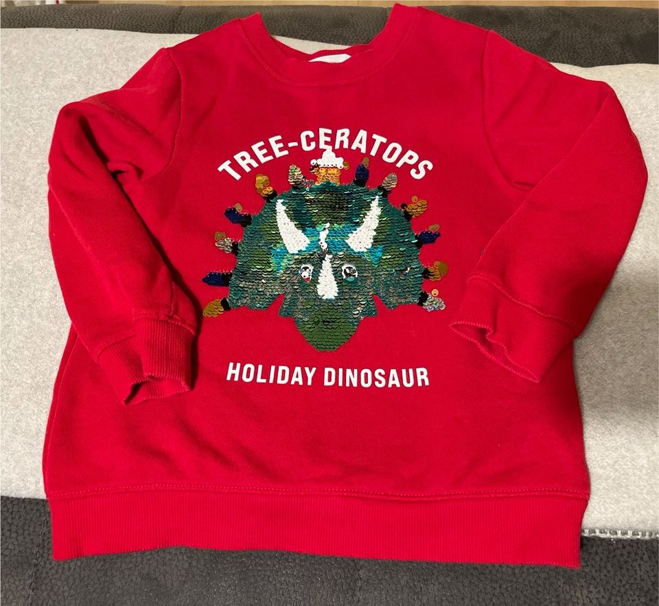 Weihnachten Pullover Dino Triceratops Pailletten in Bremen