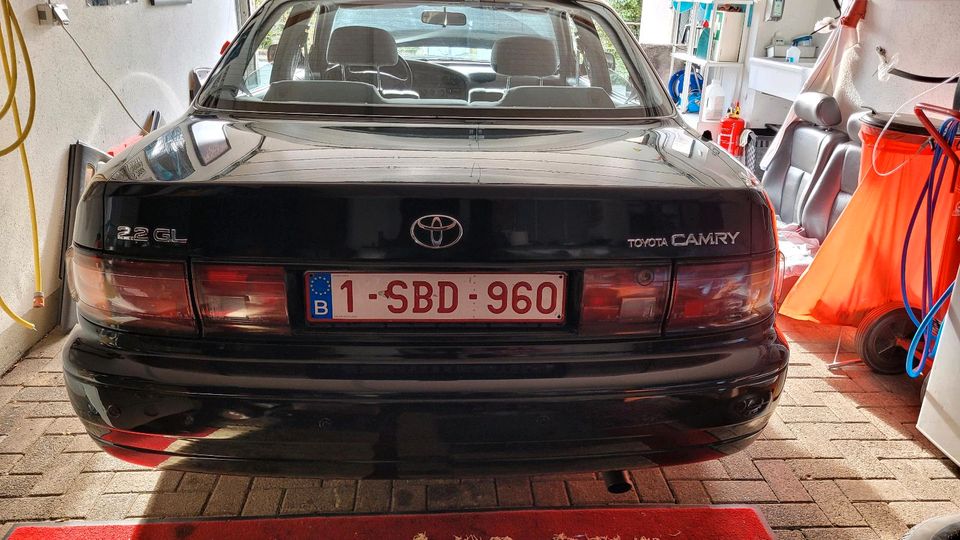 SUCHE  Rücklicht mitte Toyota Camry 1991-1996 in Ralingen