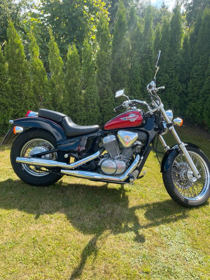 Honda Shadow VT 600 in Krummesse