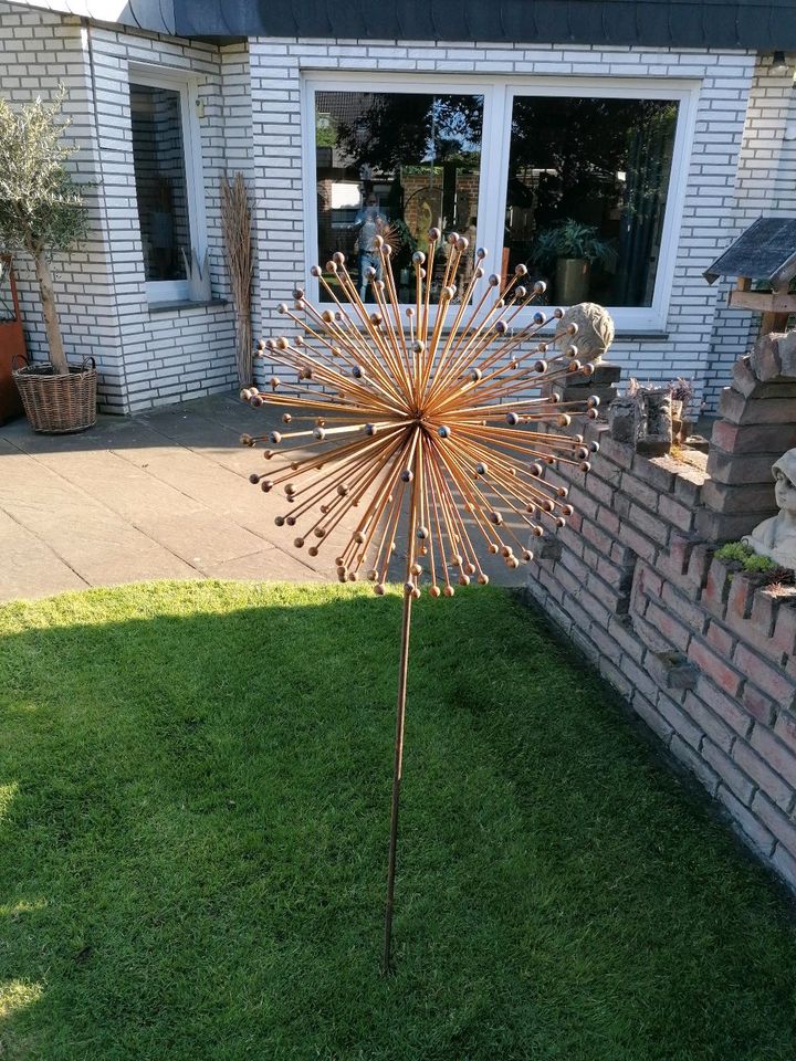 Große Pusteblume in Stadtlohn