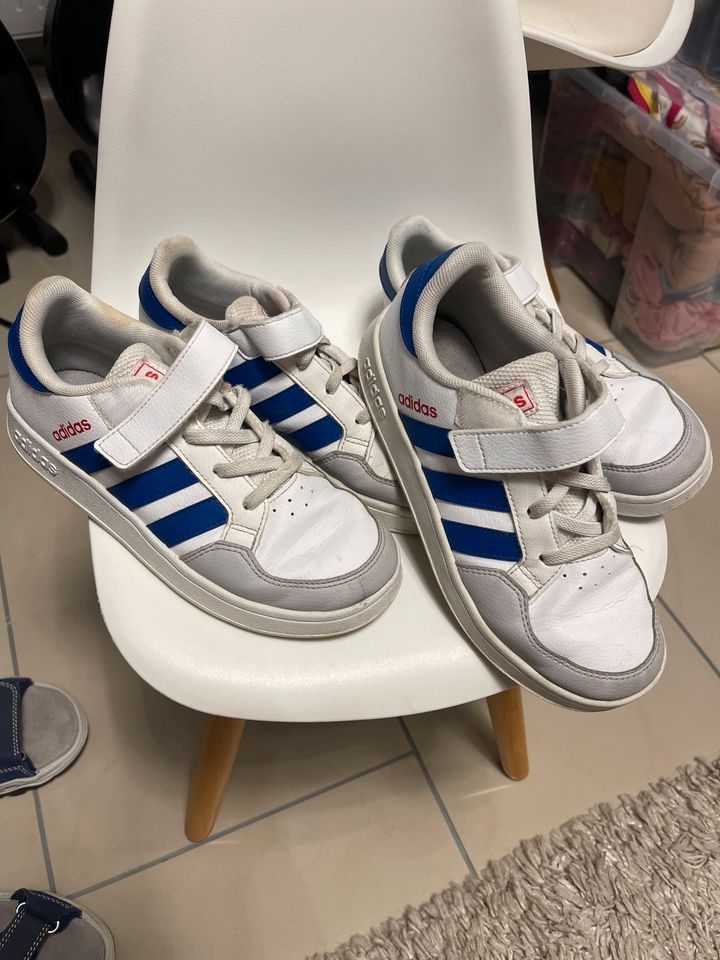 Adidas Sneaker breaknet C Turnschuhe in Gernsbach