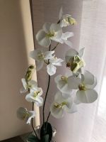 Orchideenzweig ,bestehend aus drei Zweigen|H.ca80cm Nordrhein-Westfalen - Eschweiler Vorschau