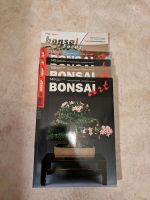 Bonsai Art Zeitschriften Versand inklusive Sachsen - Chemnitz Vorschau