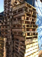 Diverse Holz- und Kunststoffpaletten zu verkaufen Schleswig-Holstein - Bornhöved Vorschau