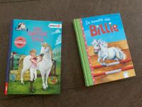 2 Pferde Bücher im TOP Zustand Rheinland-Pfalz - Alsheim Vorschau