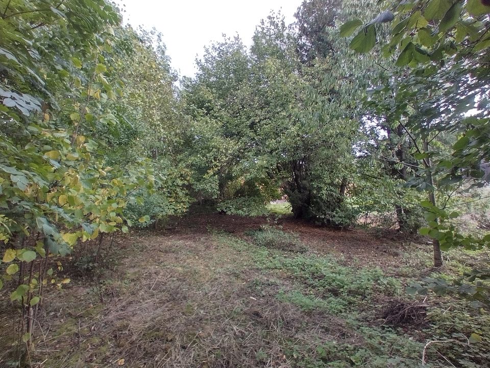 Großes wildes Gartengrundstück zu verpachten in Feuchtwangen