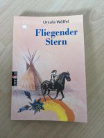 Buch Fliegender Stern Nordrhein-Westfalen - Hiddenhausen Vorschau