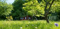 Wir suchen einen Garten zur Miete/ Pacht in Aschaffenburg. Bayern - Aschaffenburg Vorschau