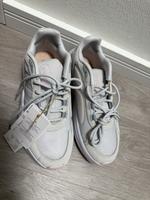 adidas Sportswear OZELLE CLOUDFOAM LIFESTYLE RUNNING Sneaker Hessen - Kassel Vorschau