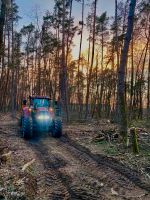 Holztransporte mit Schlepper Hessen - Groß-Umstadt Vorschau