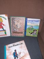 Kinderbücher Nürnberg (Mittelfr) - Gebersdorf Vorschau