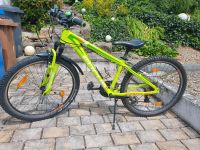 Focus Mountainbike 26 Zoll Raven Rookie Bayern - Eußenheim Vorschau