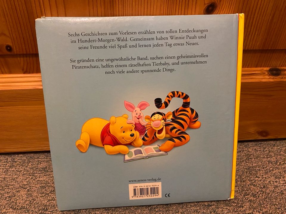 Buch Disney Geschichten zum Vorlesen Winnie Puuh in Borgstedt